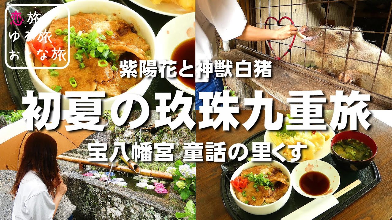 【初夏の玖珠九重旅】境内彩る紫陽花と神獣白猪『宝八幡宮』散策と『道の駅 童話の里くす』絶品豚丼＆名物とり天を楽しむ大人の朝旅【大分女ひとり旅】#おとな旅あるき旅 #traveljapan