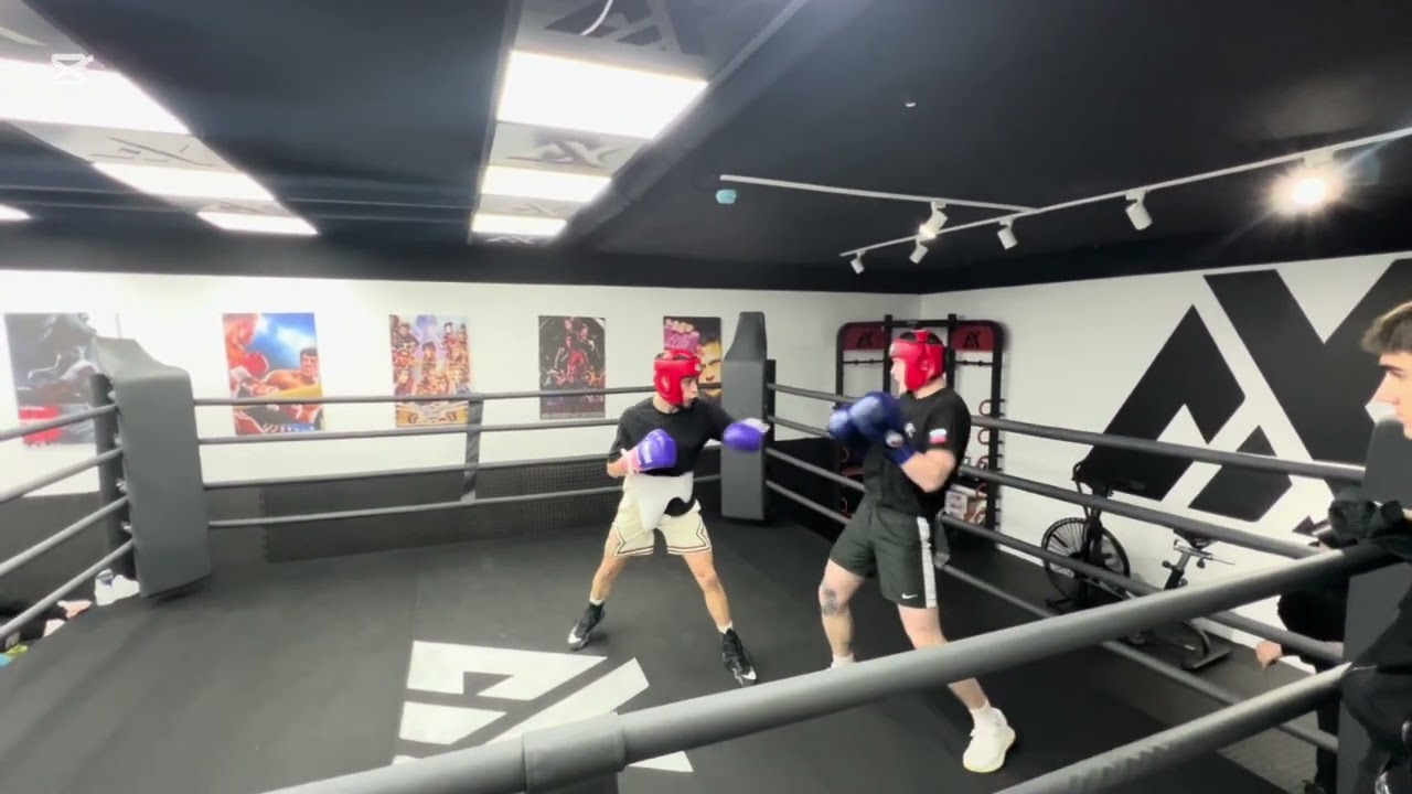 THE ART OF BOXING 🖼️ 
