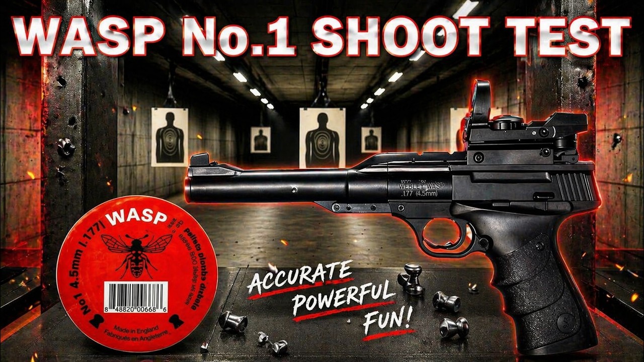 Обзор пеллет Bisley WASP No.1 от Browning Buck Mark.
