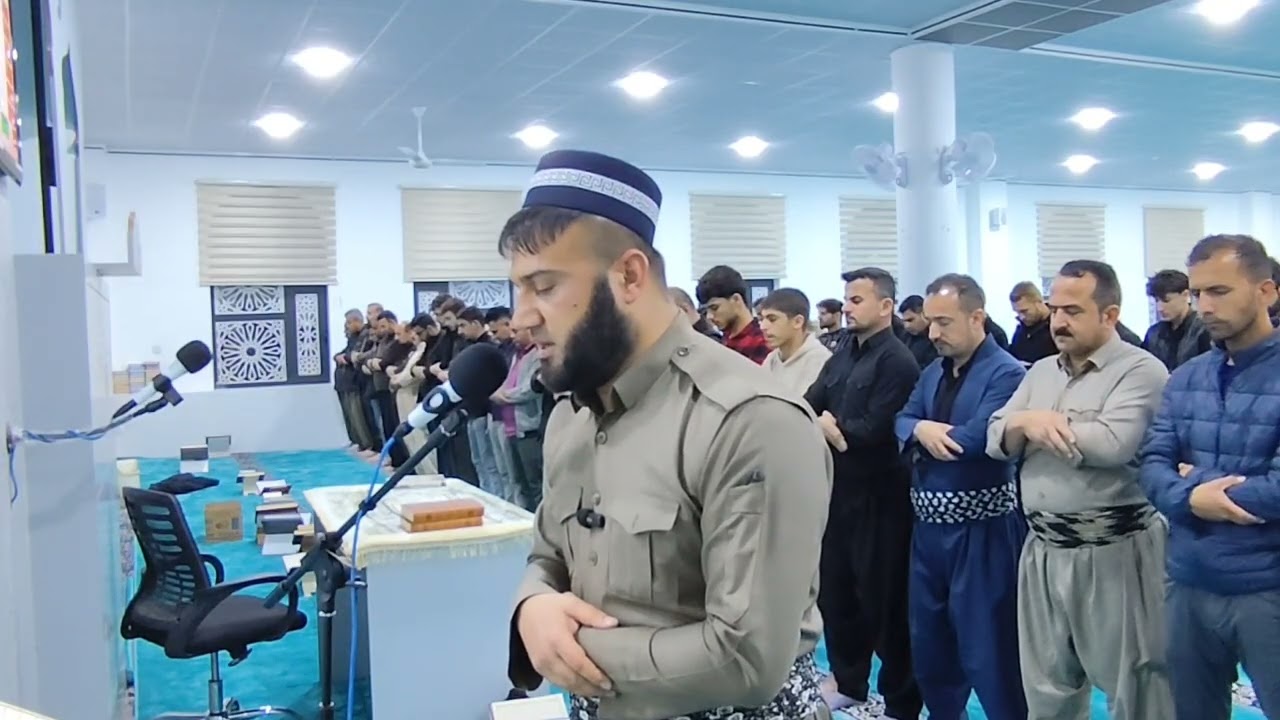 ١٧ فبراير ٢٠٢٦