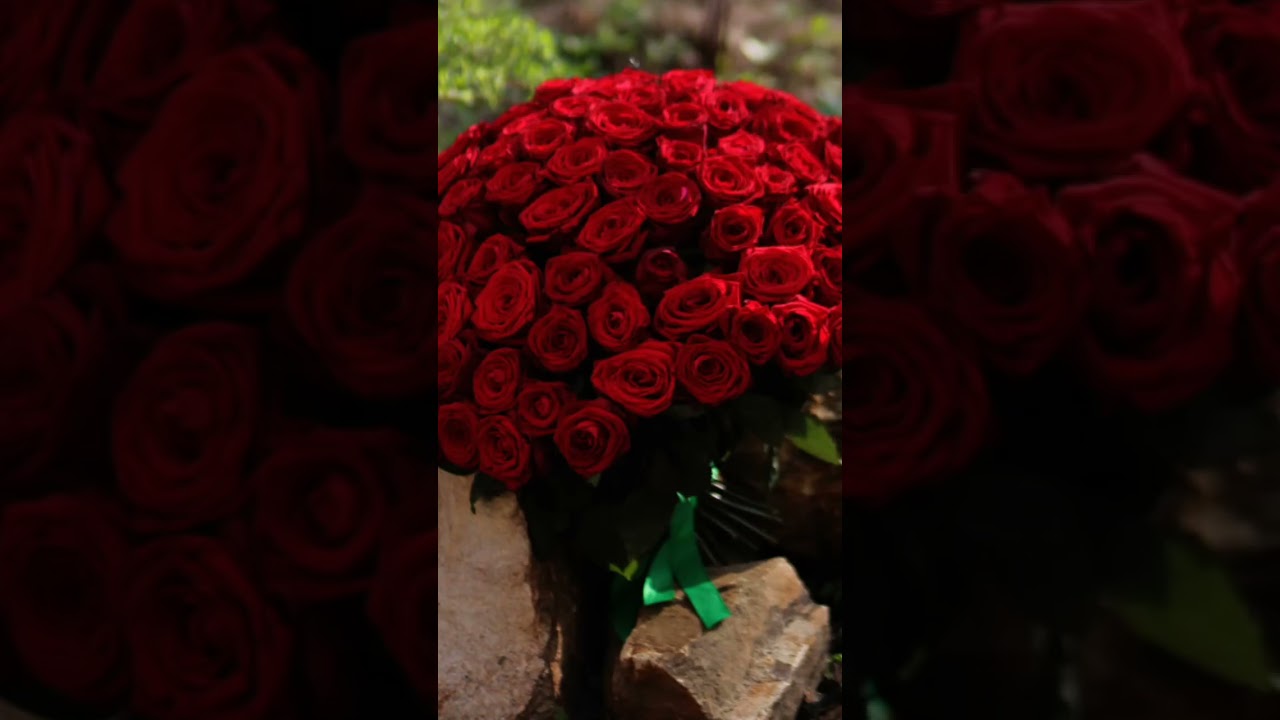Chiroyli 🌹 #gullar