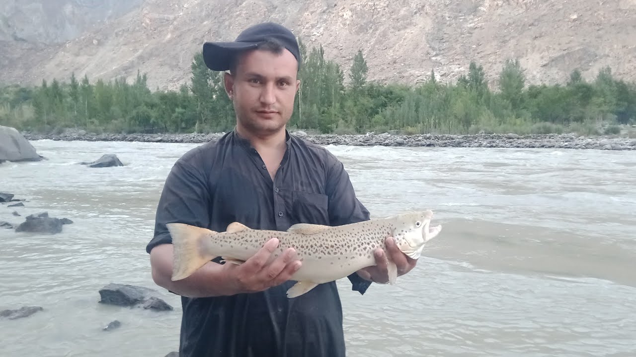 Trout fishing in gilgit pakistan with cast net|Gilgit Pakistan|Northern Trout