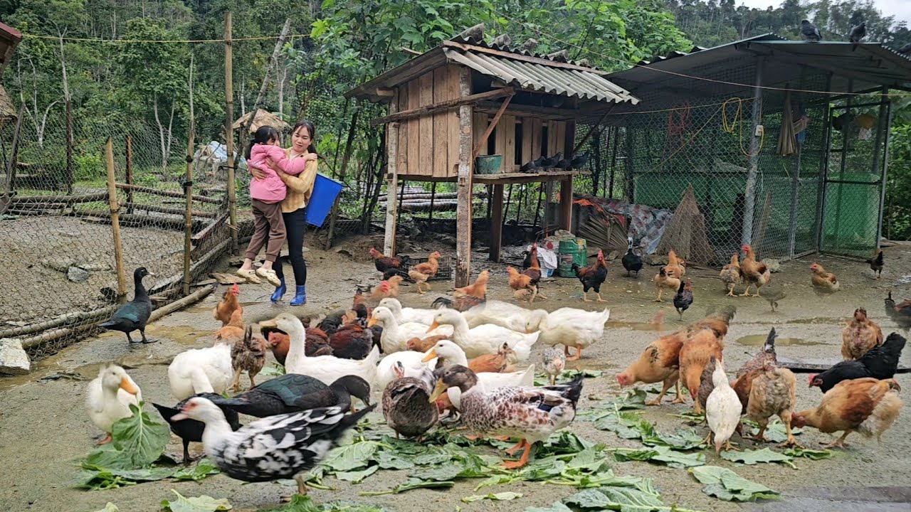 What is life like for a single mother in the countryside, working on the farm every day?