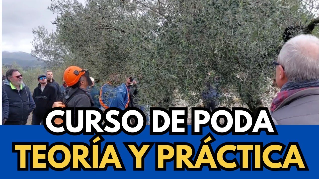 ✅ Curso de Poda en Almassera de Millena 2024. Teoría y Práctica #millena #alicante