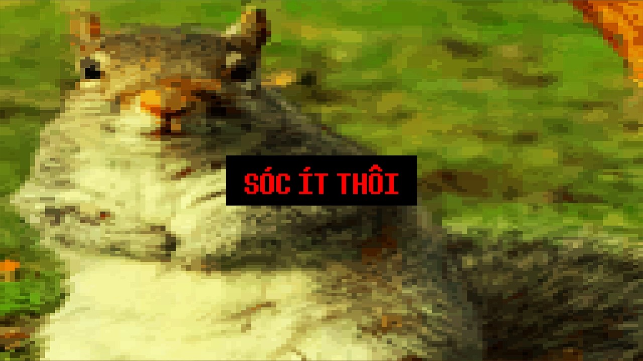 TÔI KHÔNG THỂ DỪNG BẮT SÓC BỎ LỌ CHO VỢ