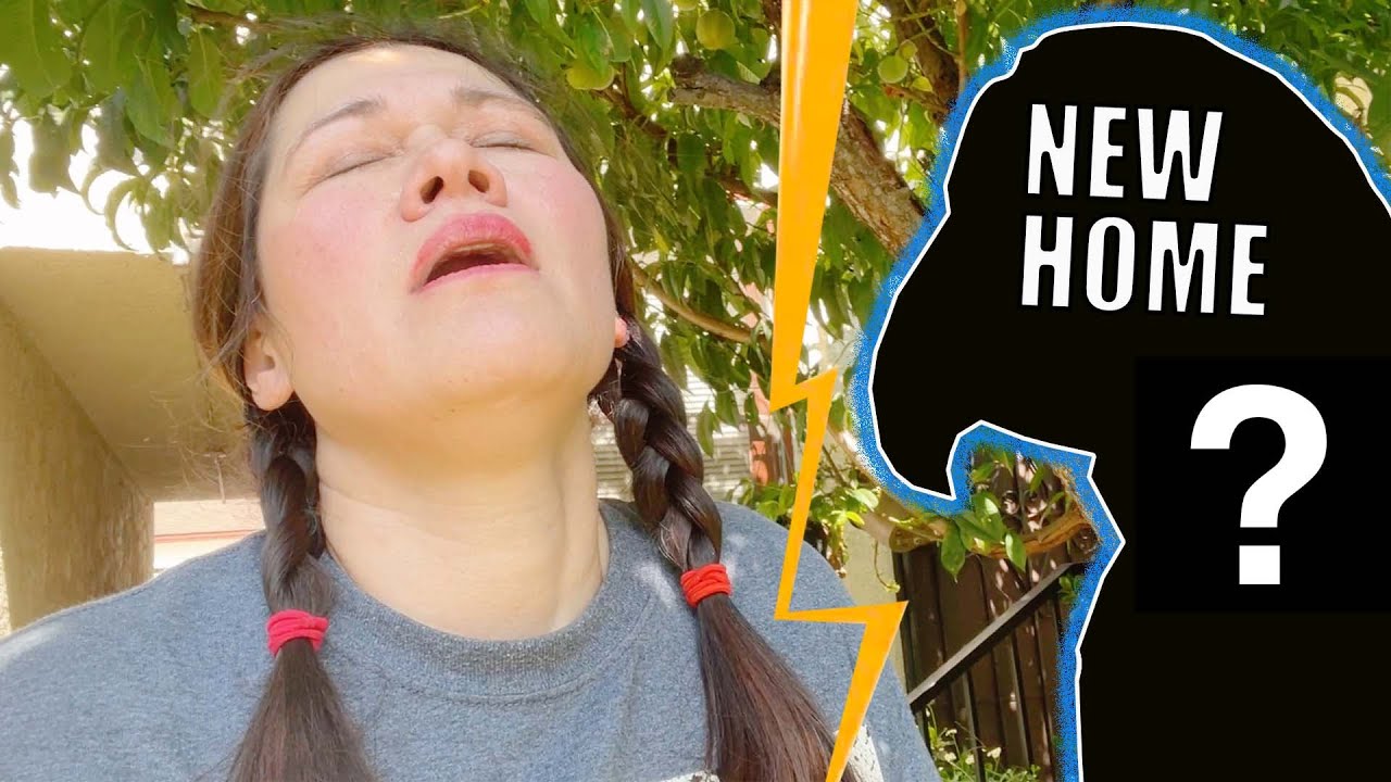 I'M REHOMING MY PARROT |  GOOD BYE MACAW! *emotional and SAD*