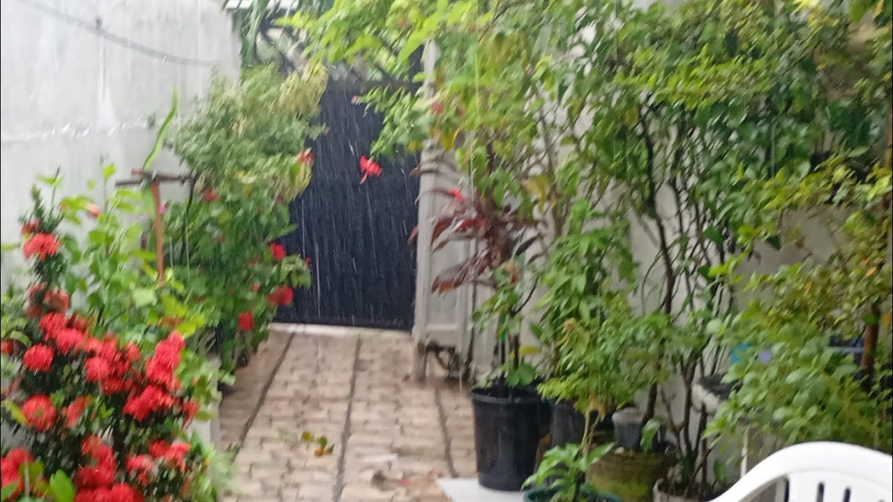 UMA TARDE COM MUITA CHUVA POR AQUI HOJE 