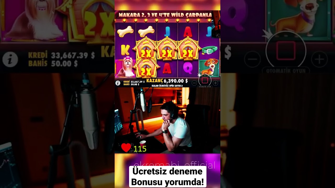 DOG HOUSE 🐶 EKREM ABİ SLOT REKOR ÖDEMESİ 