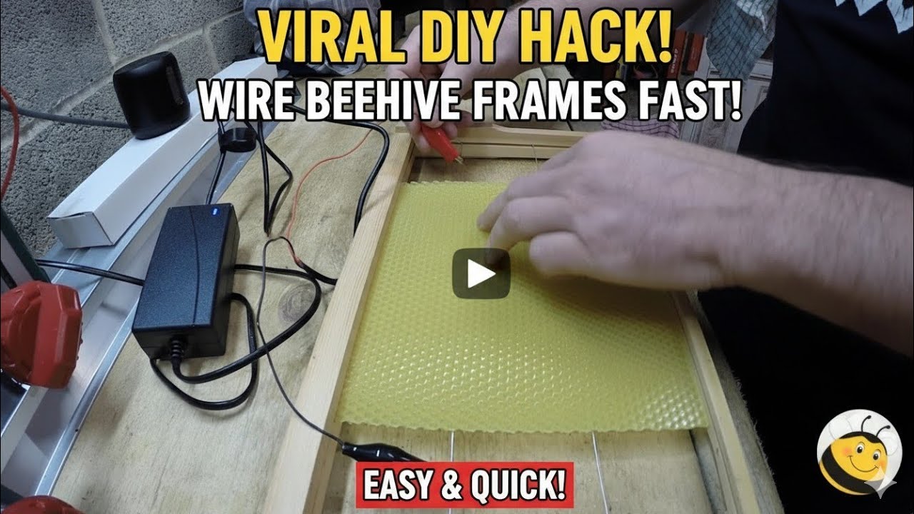 How to wire bee hive frames & set foundation.