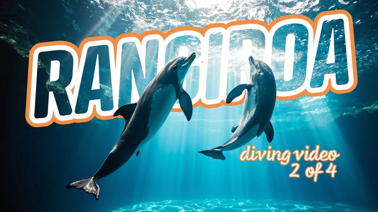 🏝️ French Polynesia Diving Documentary [2/4]: RANGIROA