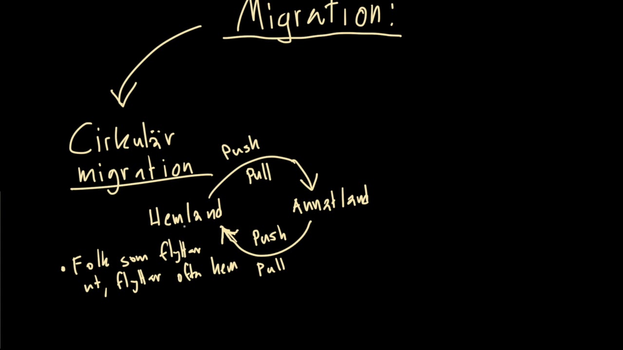 Migration - vad är det? #3 - Cirkulär migration och arbetskraftsinvandring