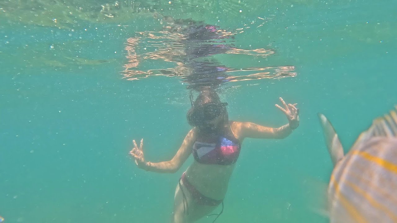 Mergulho em Buzios   Dalila