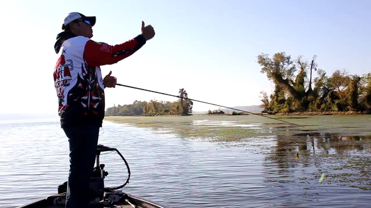 Fishing Grass for Four Seasons | Grass Class
