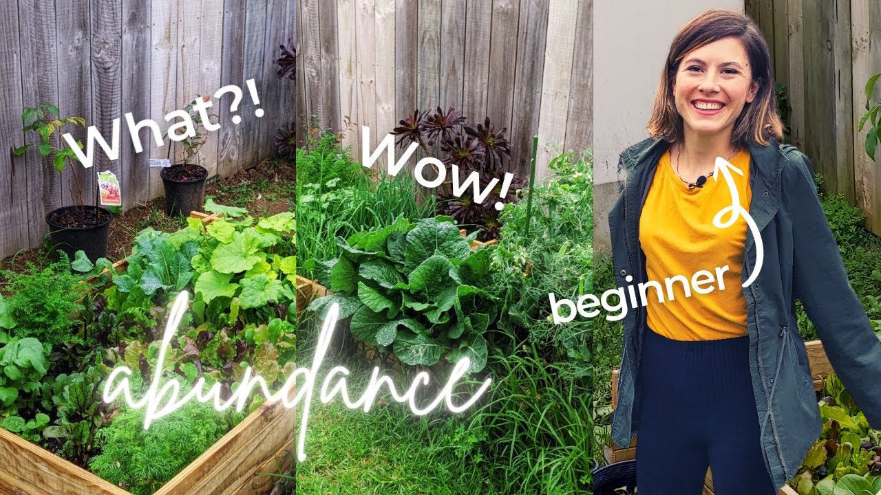 Beginner's Vegetable Garden Tour. New Zealand Winter Crop, and testing No-Dig