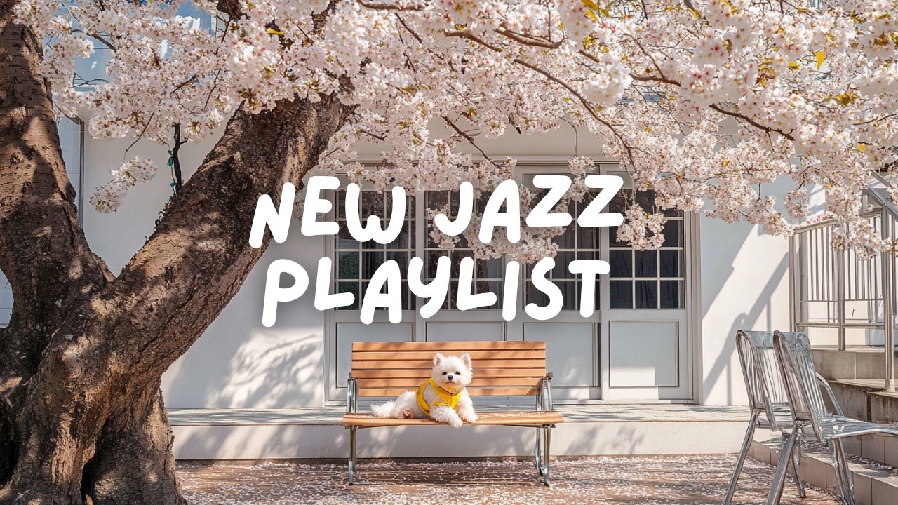 ☕ 편안한 카페 분위기에서 공부할때 듣는 재즈 Playlist / Cafe Jazz Music