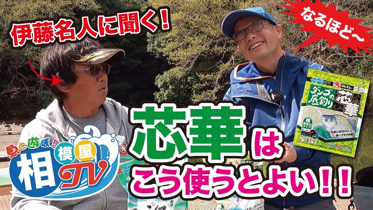 マルキューの「芯華」はこう使うといい！と伊藤名人が話していました！