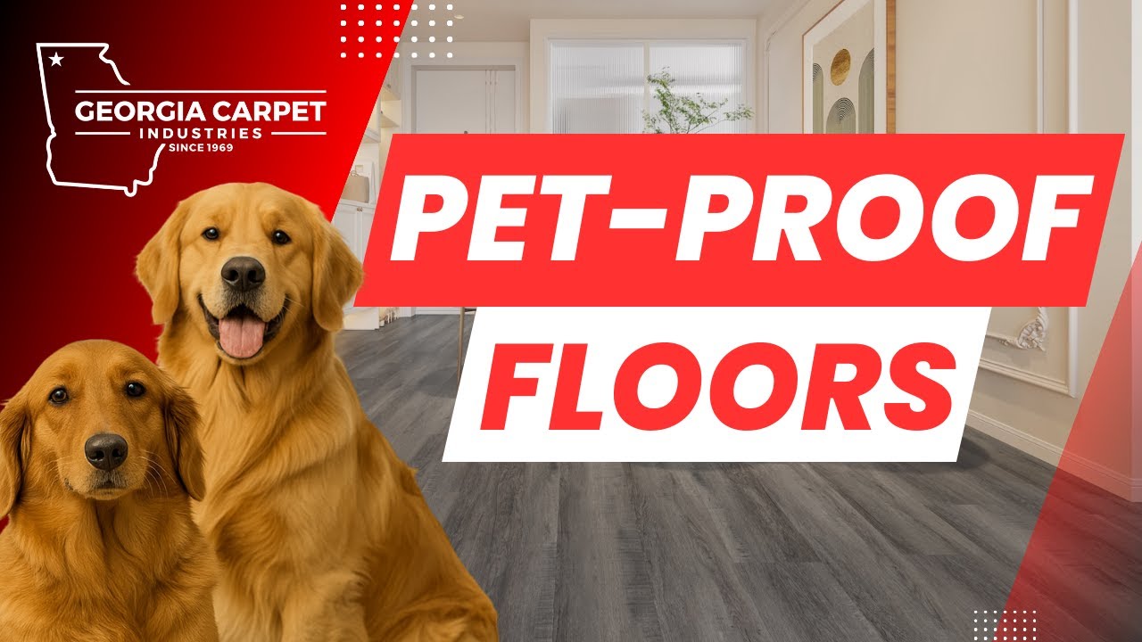 🐶😸 Best Floors for Pets - Pet-Proof Flooring for Your Home | FloorCast Ep. 24