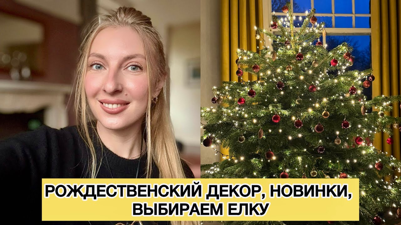 ВЛОГ: ВЫБИРАЕМ ЕЛКУ, РОЖДЕСТВЕНСКИЙ ДЕКОР, НОВИНКИ С SHEIN, ARKET, H&M 🛍️