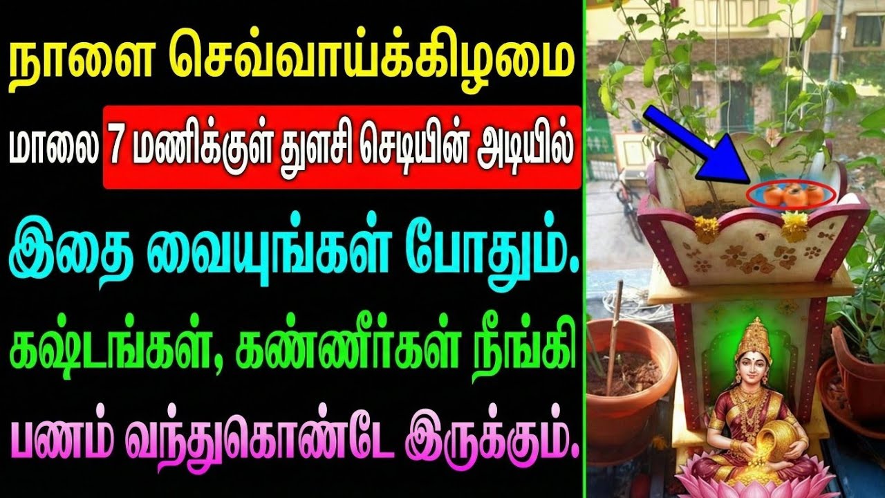நாளை செவ்வாய்க்கிழமை மாலை 7 மணிக்குள் துளசி செடியின் அடியில் இதை வையுங்கள் போதும். கஷ்டங்கள்