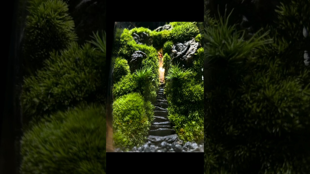 Bringing nature into the glass, such a #microlandscape Do you like it #shortsvideo