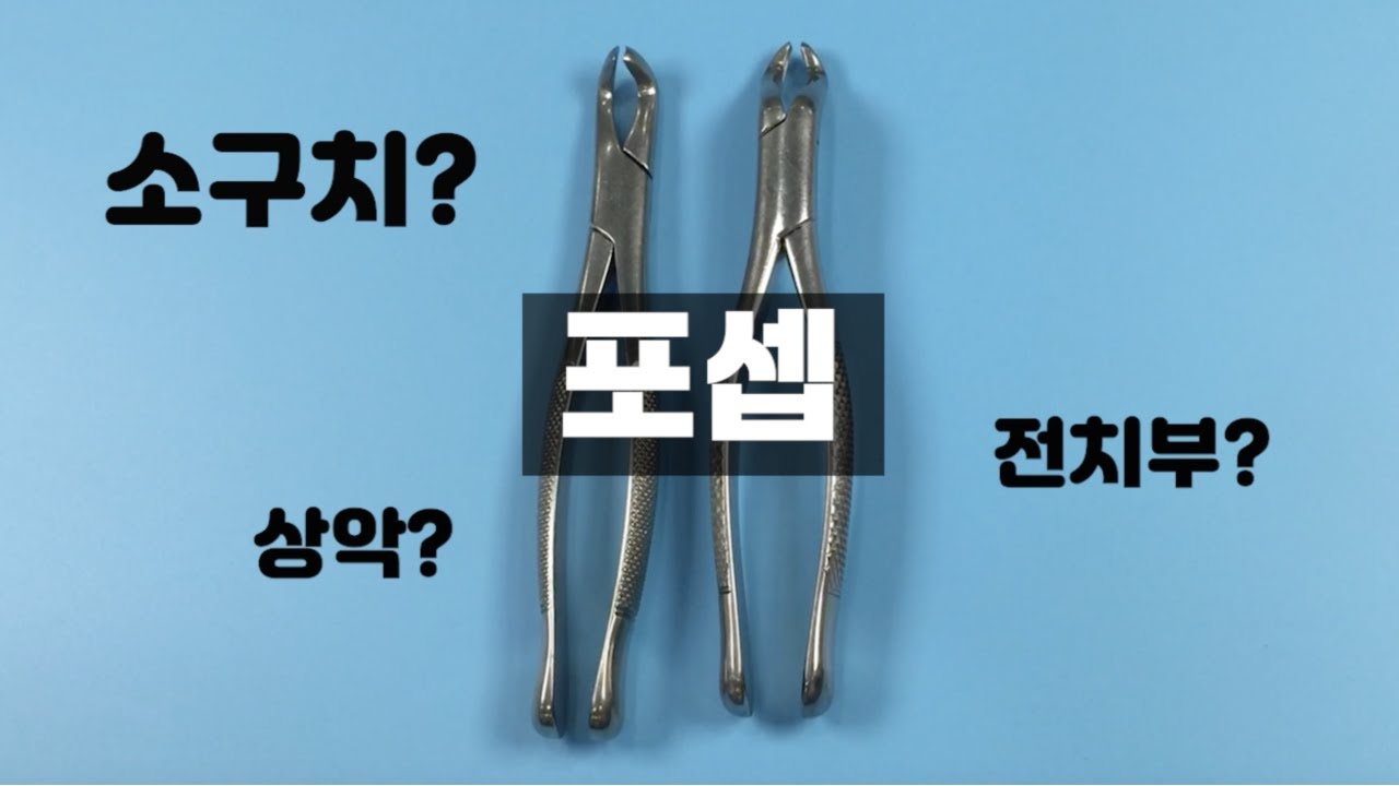 치과위생사 교육 실습 | 치과 외과기구 | 발치 기구 | 발치 포셉 구분하기 | 상악 하악 발치
