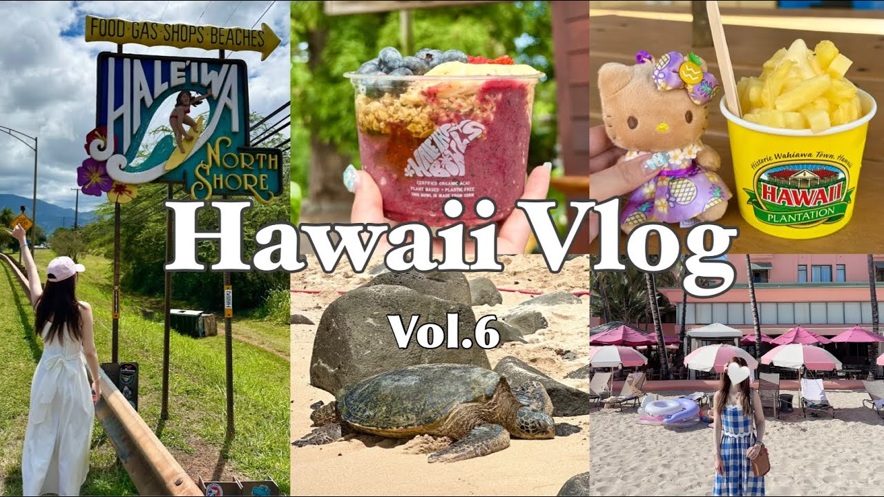 【Hawaii Vlog⑥🐢】ノースショアでウミガメに遭遇！ハレイワ＆ドール＆サンセットまで満喫【7泊9日ハワイ旅行】