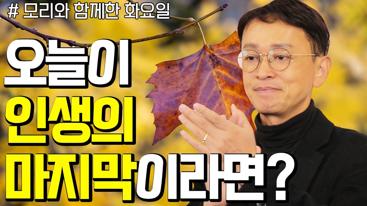 나는 과연 이렇게 살다 죽어도 괜찮을까? - 꼬꼬독#134 모리와 함께한 화요일