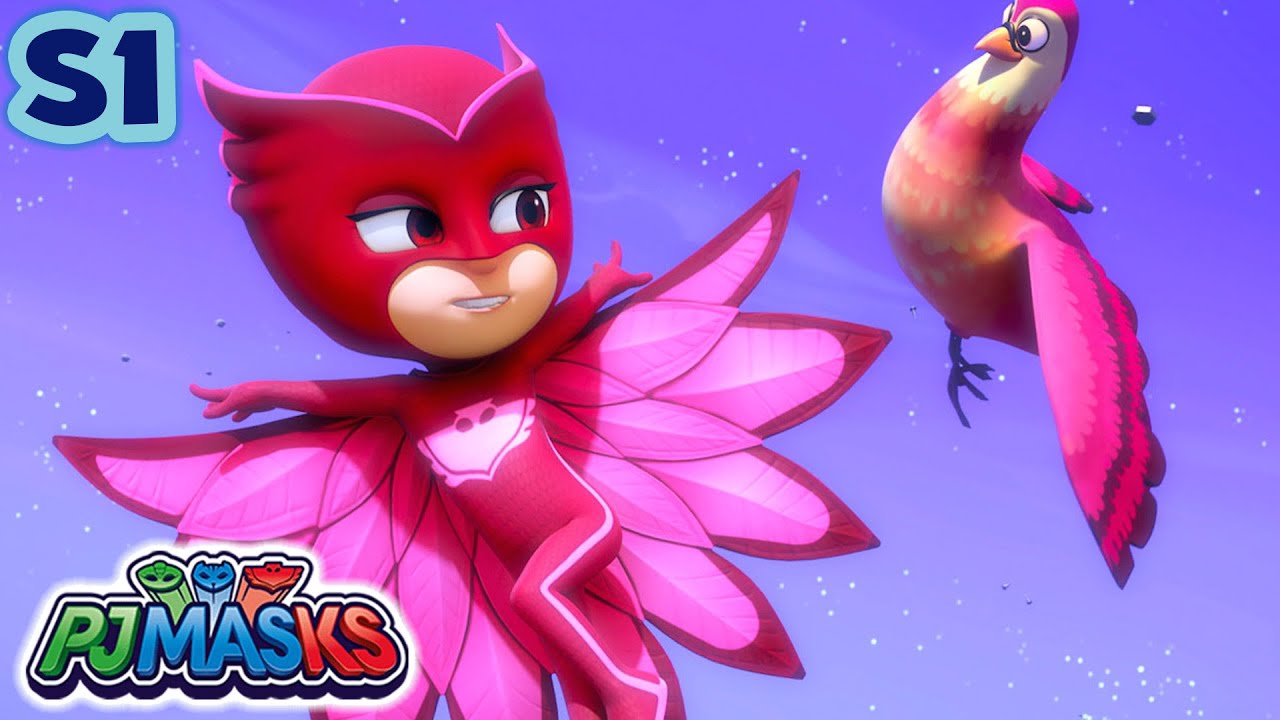 Owlette's Feathered Friend | PJ Masks S1 E28 | Cartoon for kids