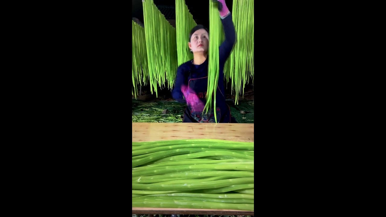 LIVE 🔴Most Satisfying Vegetable Slicing LIVE | Precision Cutting 🔪