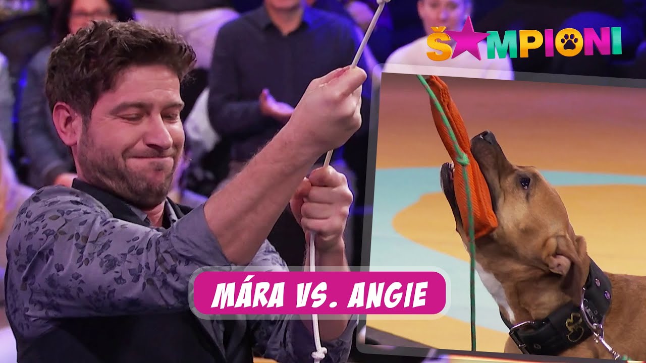 Šampioni (4) - Marek Němec vs. Angie