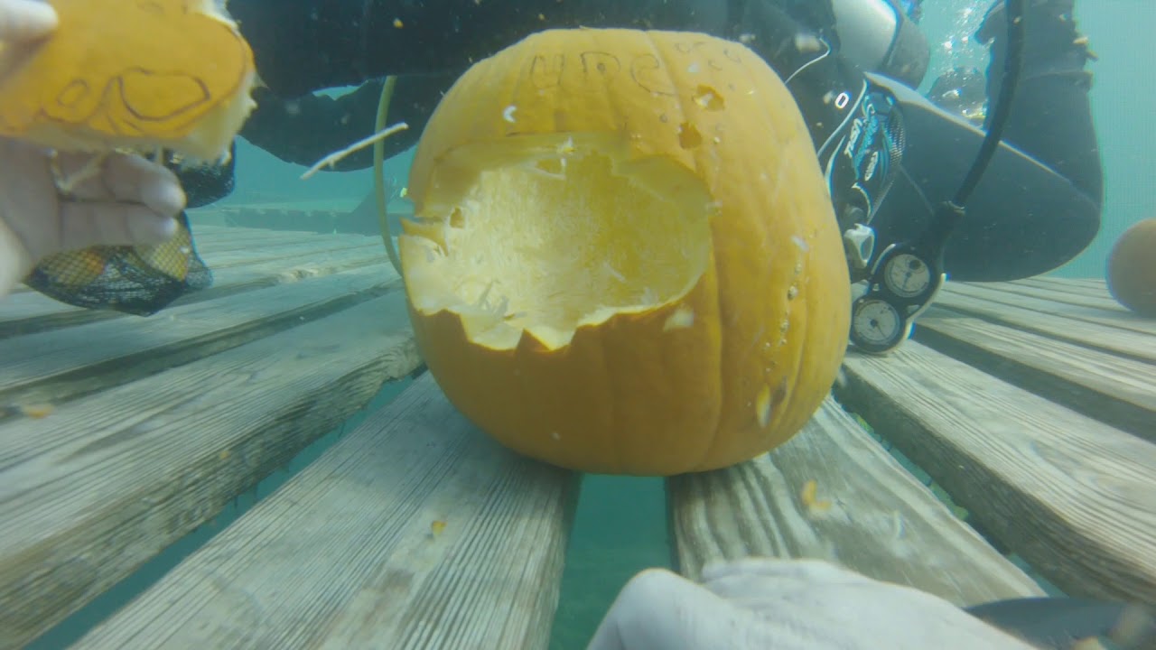 Pumpkin Carving UNDERWATER 10 14 2018
