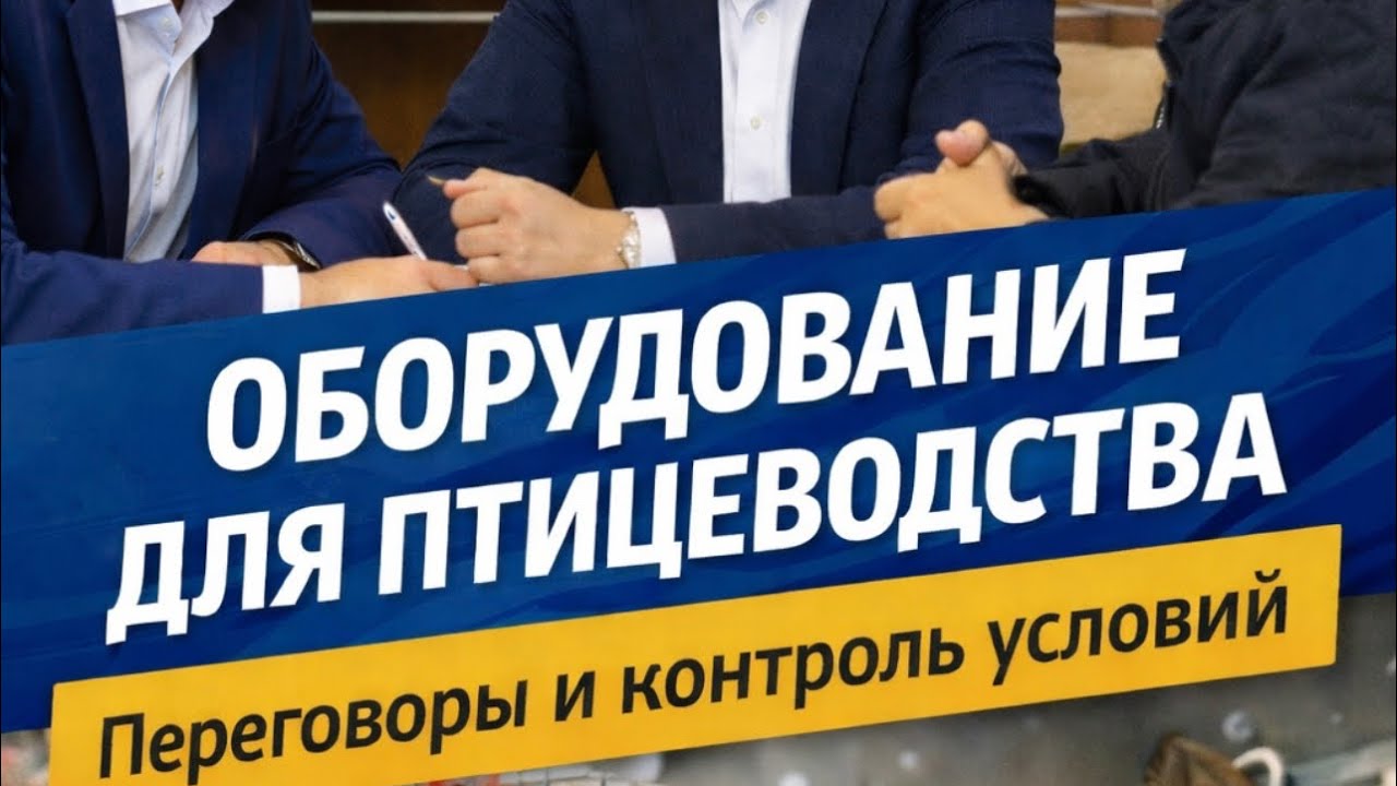 Переговоры + современная птицеферма TBB. Автоматизация и клетки. Оборудование для куриц несушек