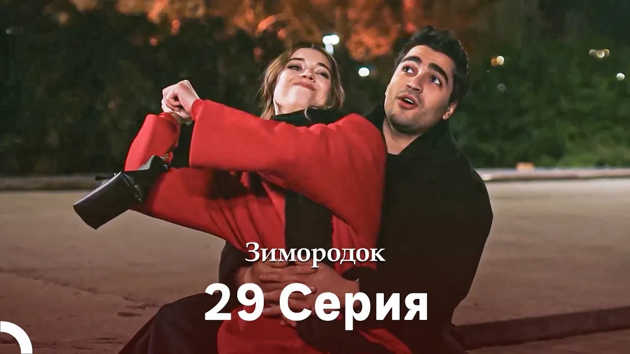Зимородок 29 Cерия (Русский дубляж)(Длинная Bерсия)
