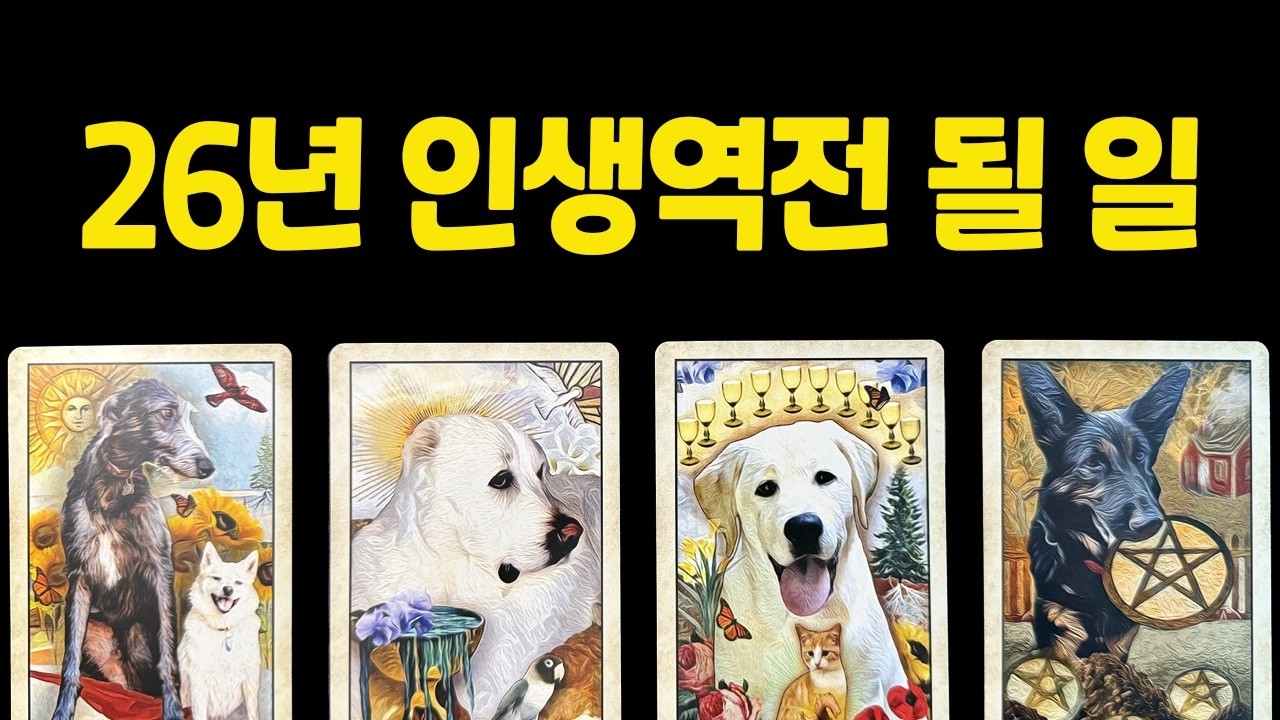 [타로]신점보다 정확한 예언🔮 26년에 인생이 뒤집힙니다