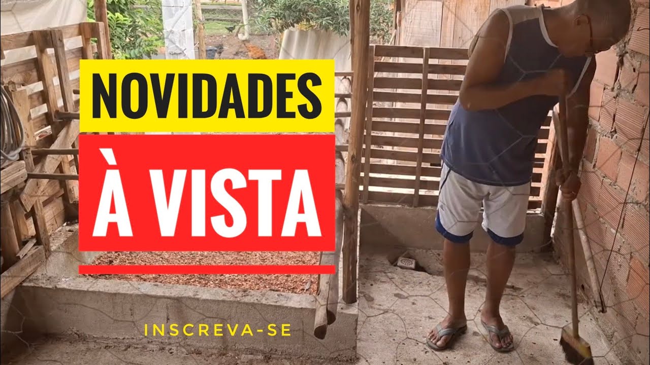 Novidades e novos projetos para o plantel de aves.
