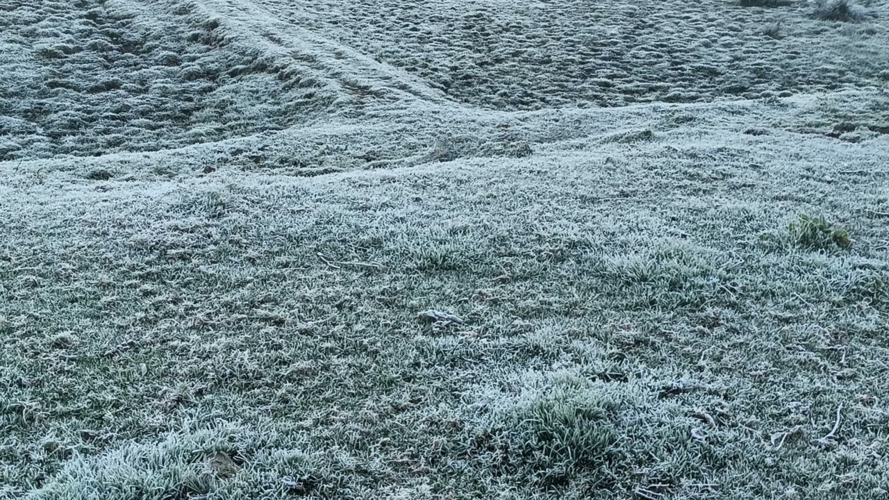 Ooty snow #trending #viral #viralvideo #trendingshorts #youtubeshorts #youtube #ootysnow #trend #fun