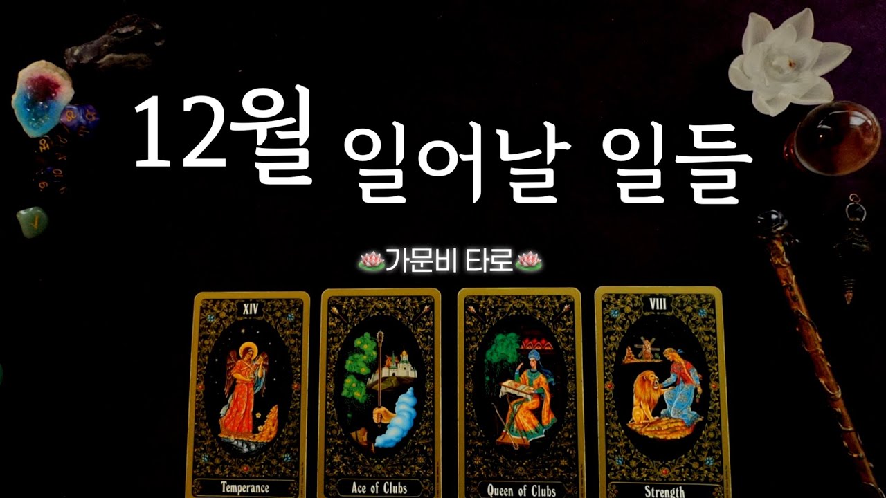 12월, 반드시 일어날 일들 (직감리딩!/귀신같은 타로)