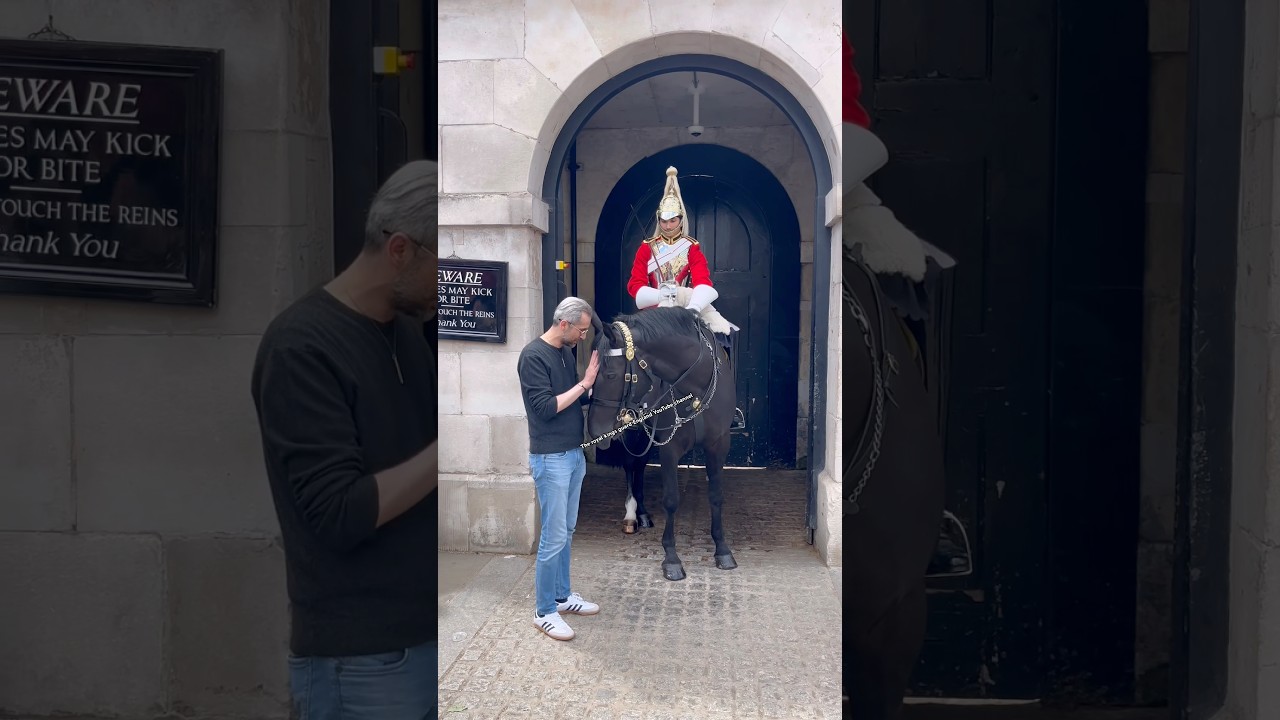 Unexpected Connections: A Horse's Recognition!