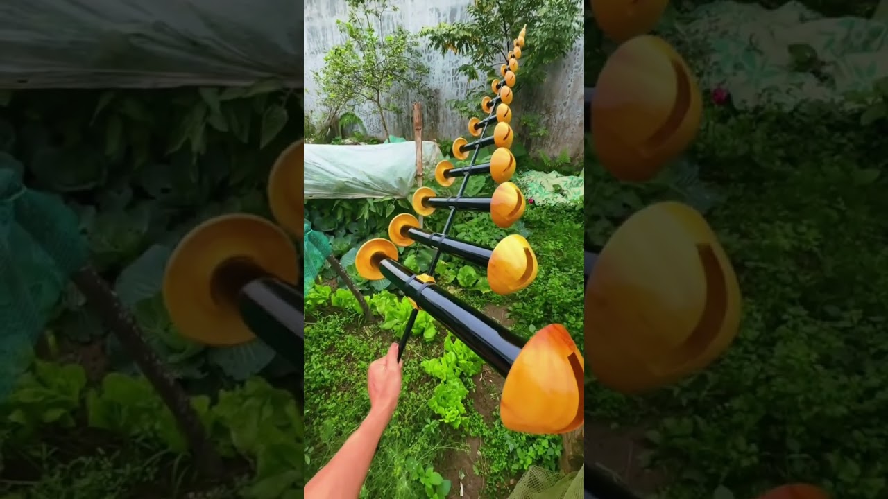 (diều sáo) tổng hợp những con diều sáo nét nhất 