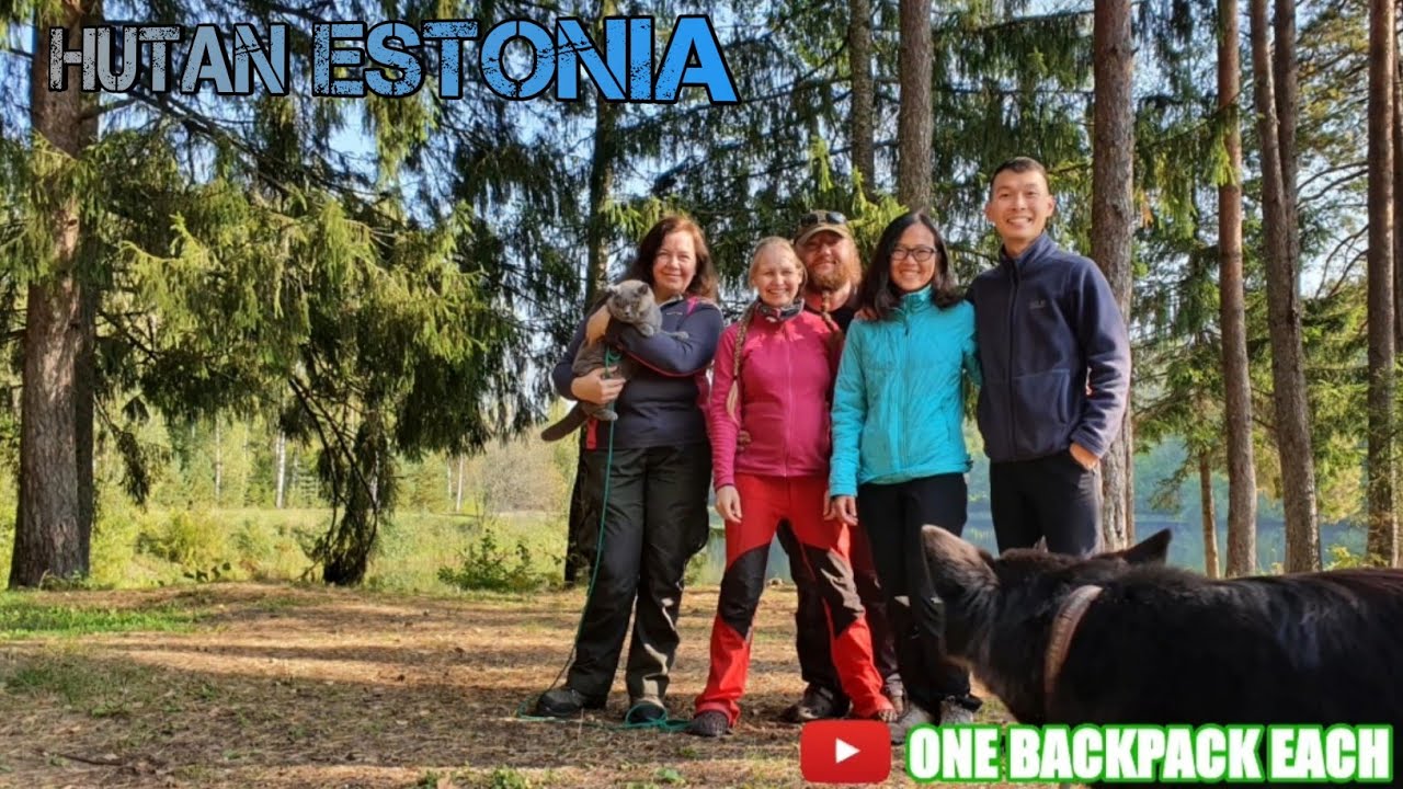 Berburu Jamur di Hutan Estonia