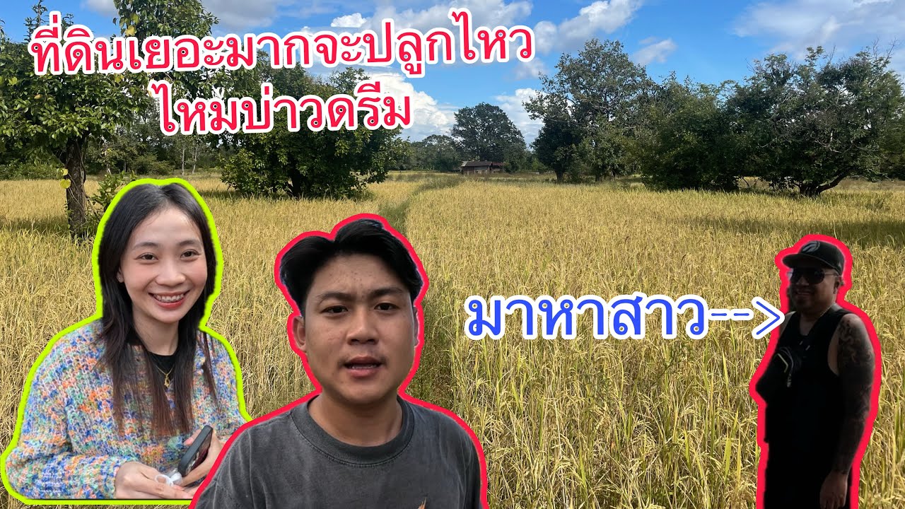 มาถืงแล้วที่ดินของแฟนที่จะทำสวนประสมประสานด้วยกันเพื่ออนาคตที่ดีต้องเริ่มจากจุดนี้และ
