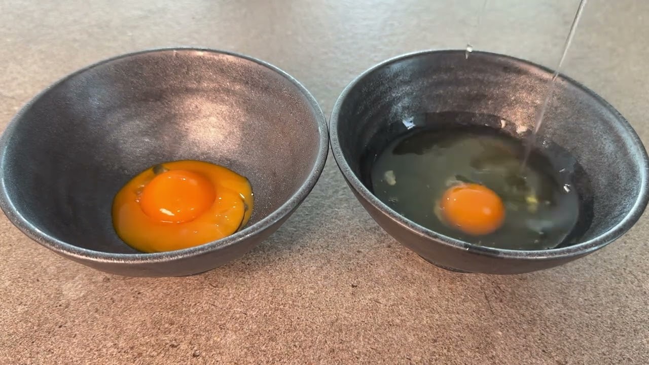 [특별한 계란말이 만들기] 흰자&노른자 분리 편[1]