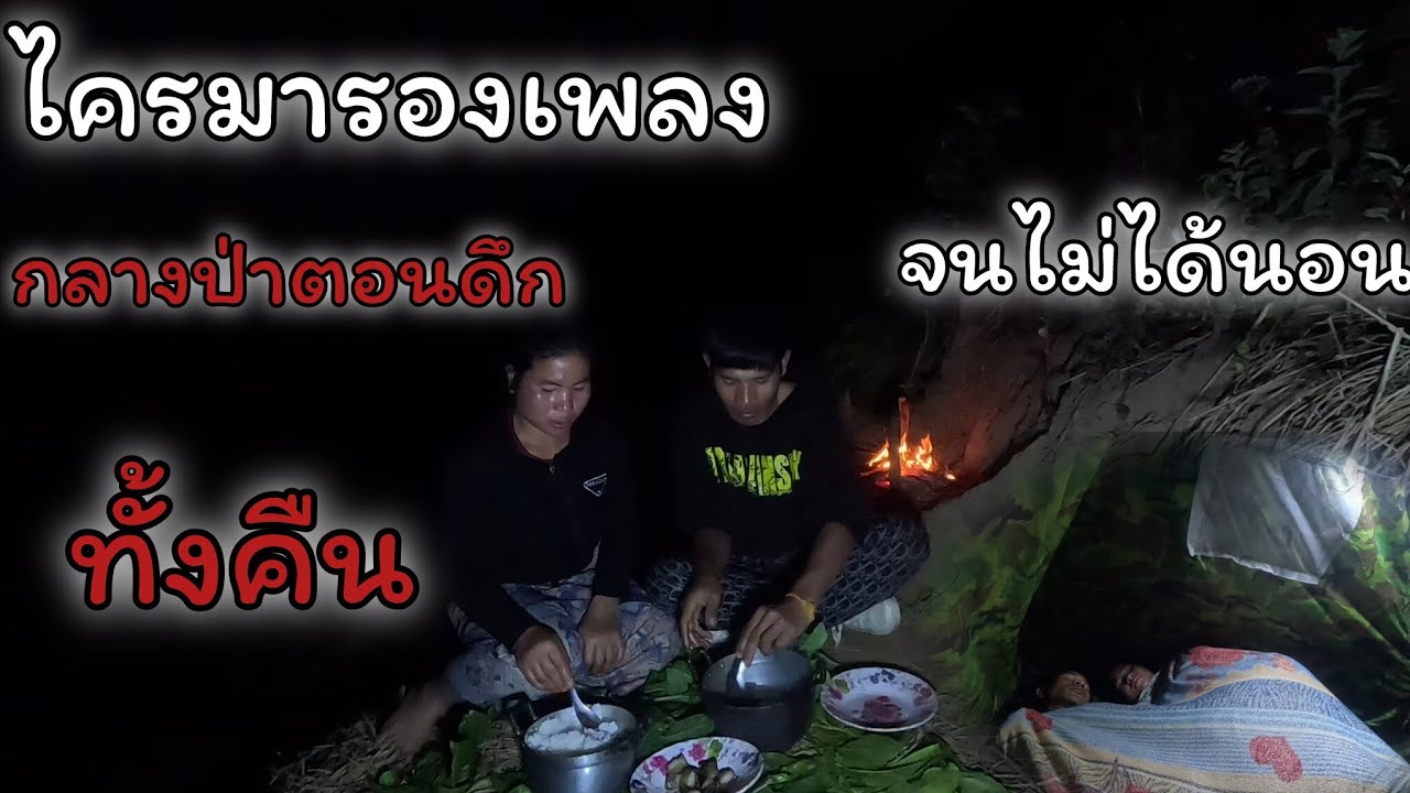 พาเมียนอนป่าตกดึกไครมาร้องเพลงทั้งคืนอยู่ในป่าจนหนอนใม่ลับ่