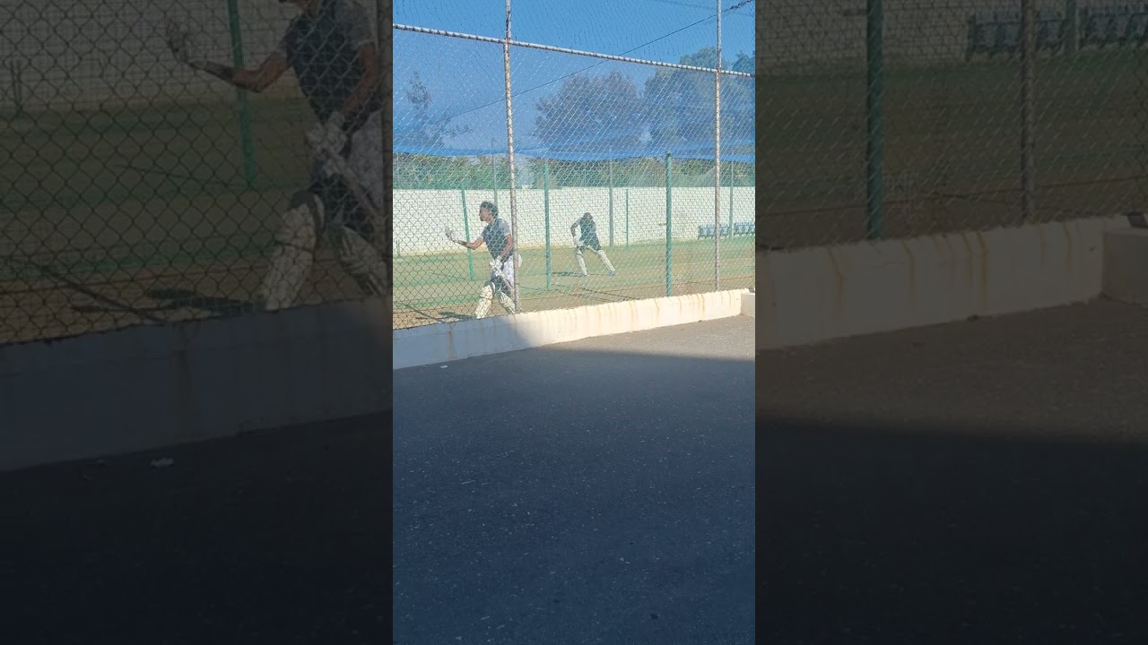 teddy bishop in nets a sabina park