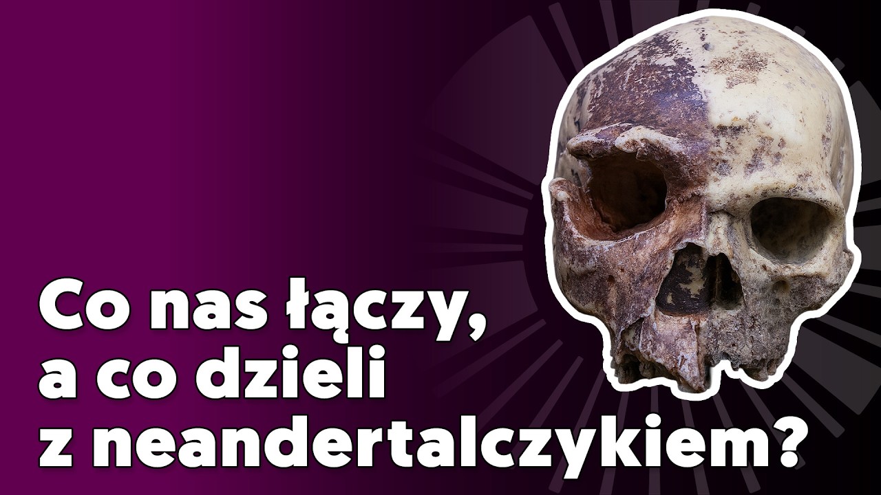Badania genetyczne pradawnych szczątków. O tym, co nas łączy a co dzieli z neandertalczykiem?