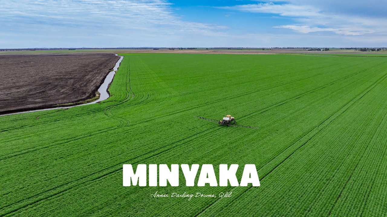 ‘Minyaka’, Inner Darling Downs, Qld