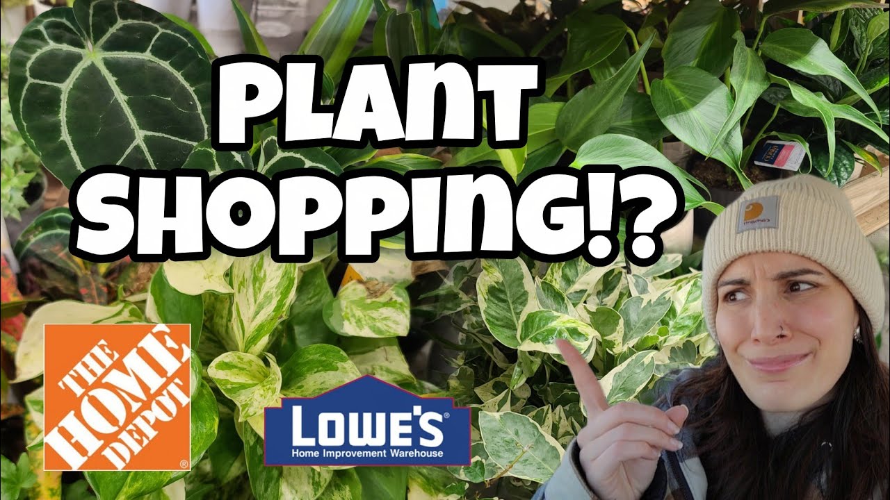 LOWE'S & HOME DEPOT PLANT SHOPPING!! 🌿 what's new in Concord, NH?! 