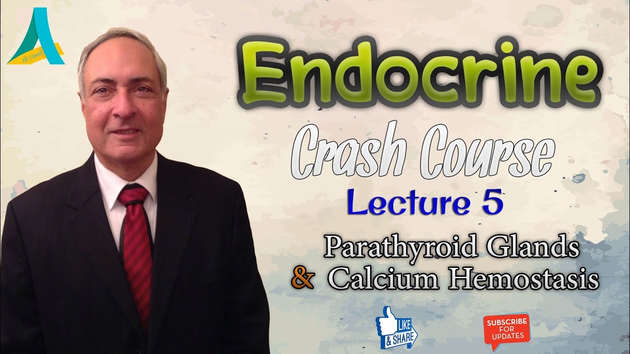 Dr.Nagi - Endocrine REVISION (5) - Parathyroid Glands & Calcium Hemostasis