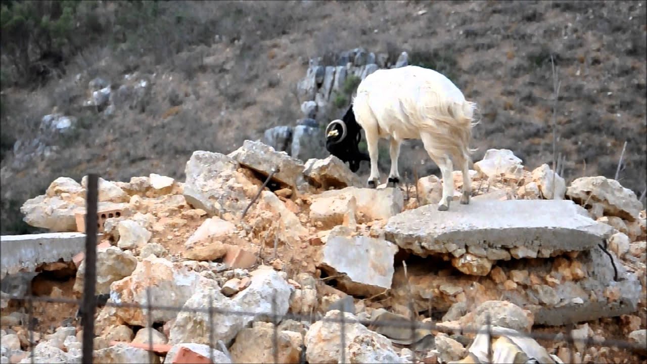 Kreta - droga na Kissamos
