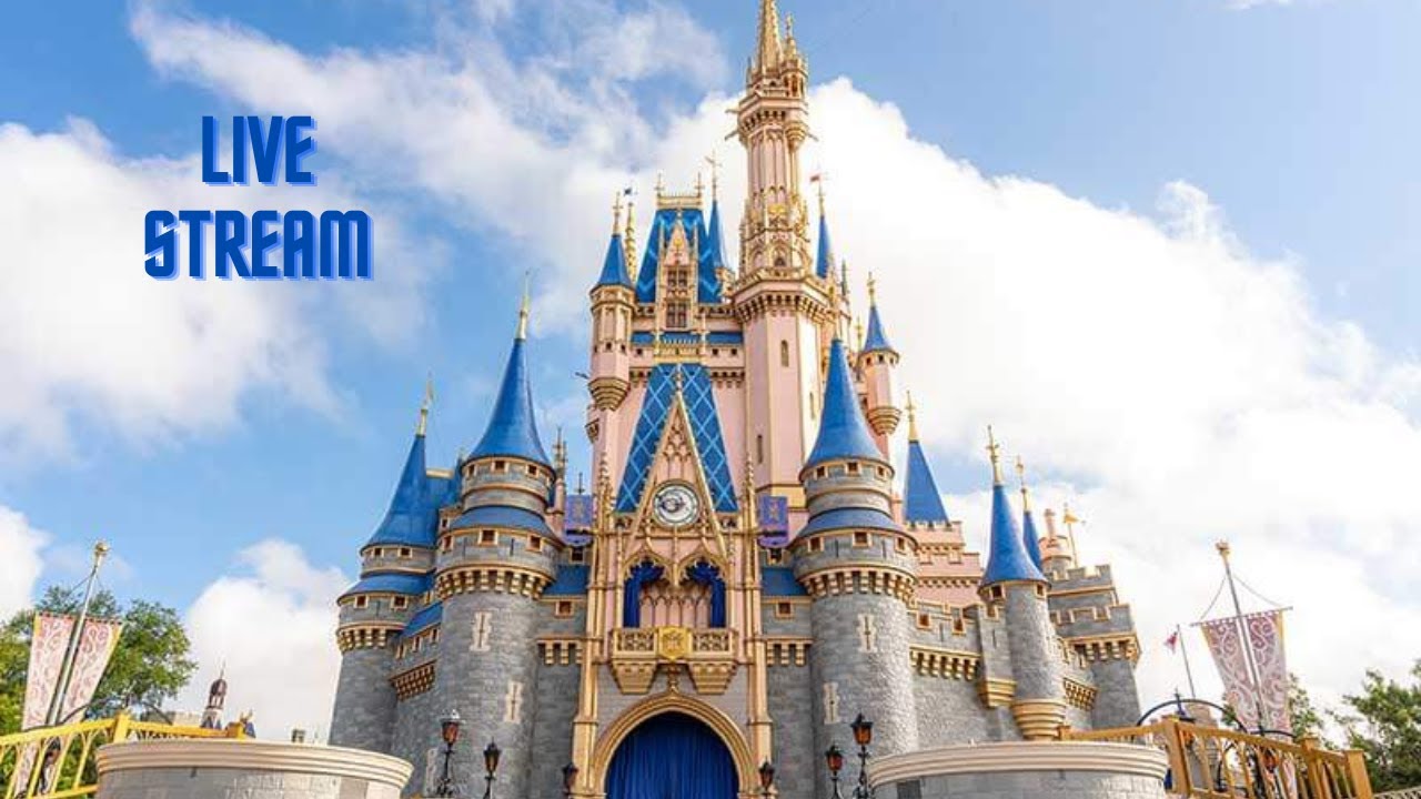 best of  magic kingdom live stream